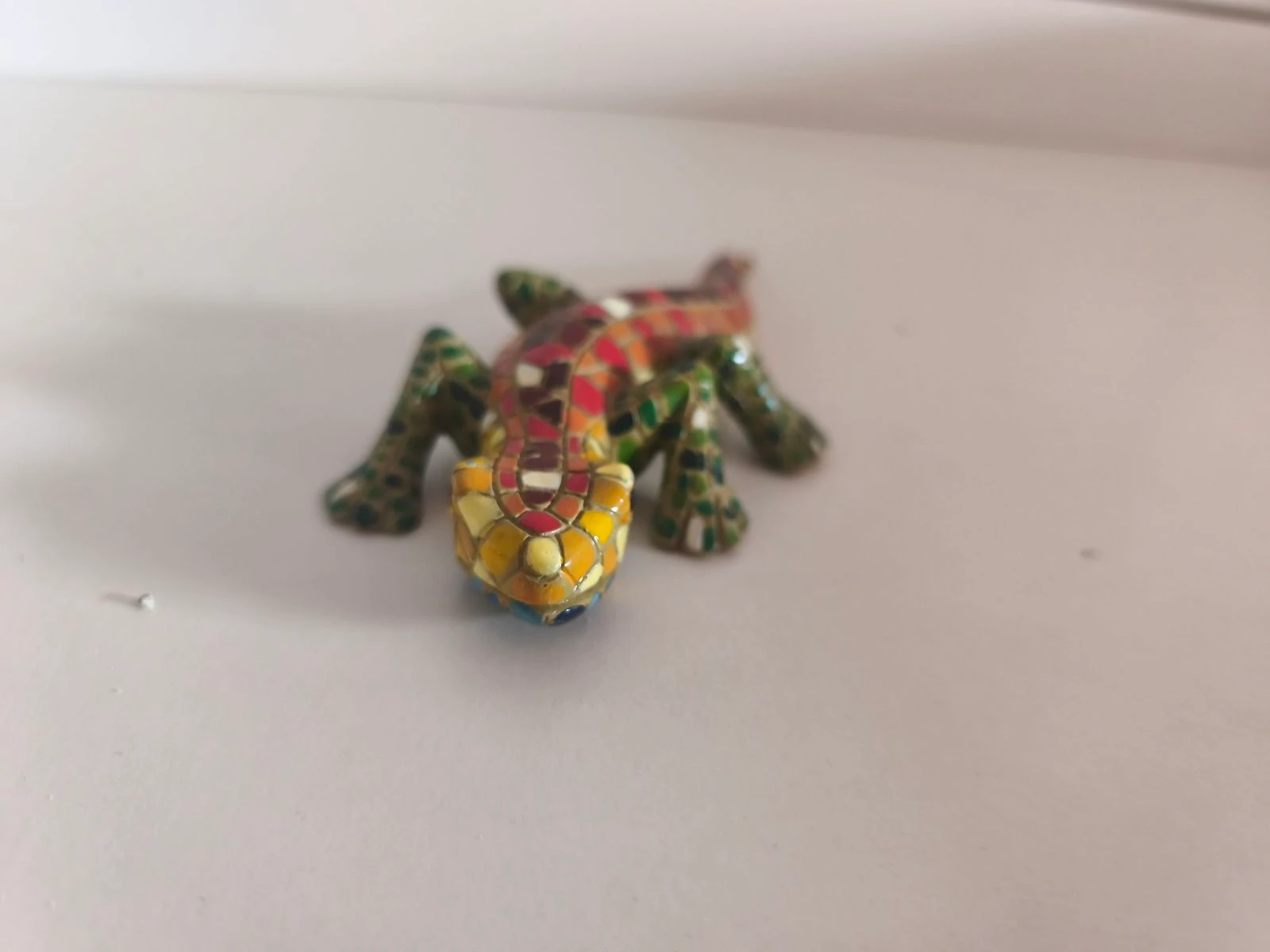 Salamandra em mosaico – photo 4